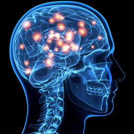 Cómo cambia la pornografia el cerebro
