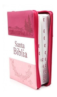 Biblia RVR60 Letra Grande Tamaño Manual, Tricolor, Con Índice