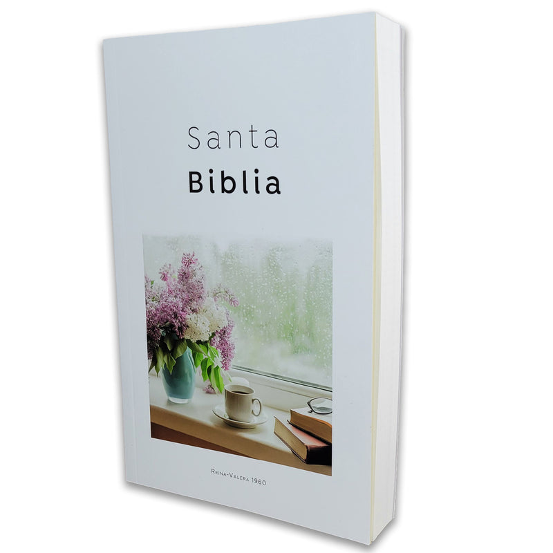 Biblia Económica Reina-Valera 1960 - Tapa Rústica Blanco Ventana