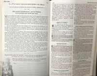 Biblia RVR60 Fortaleza con Devocionales, color marrón, sin índice por J. M Brown