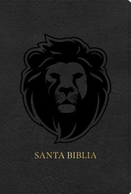 Biblia RVR60 letra grande tamaño manual edición especial, ceniza