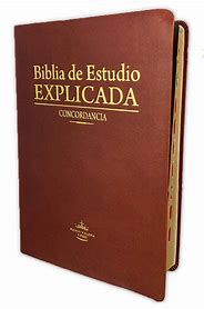 Biblia Rvr60 de Estudio Explicada con Concordancia Café