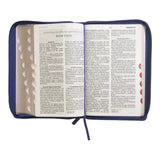 Biblia RVR 1960 Tamaño Manual Letra Grande Imitación Piel Lila con Cierre y con Índice