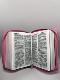 Biblia RVR60 Para Niñas Rosa, Mi Gran Viaje-Tamaño Bolsillo, con Ilustraciones, y Cierre