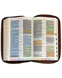 Biblia Arcoiris Rvr60 Café Simil Piel Con Indice y Cierre