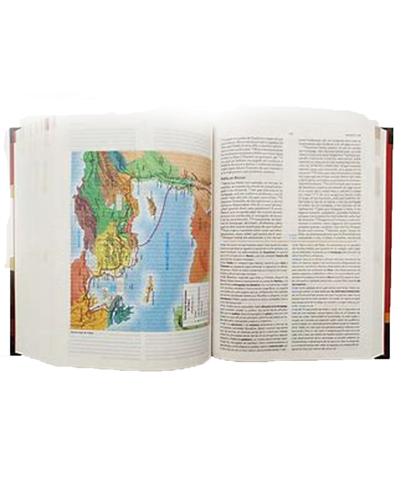 Biblia RVR60 De Estudio Holman Tapa Dura Sin Indice Retailpos* – Rincon ...