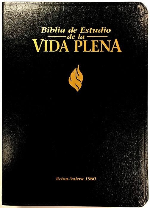 Biblia Vida Plena Imitacion Piel Negro Sin Indice